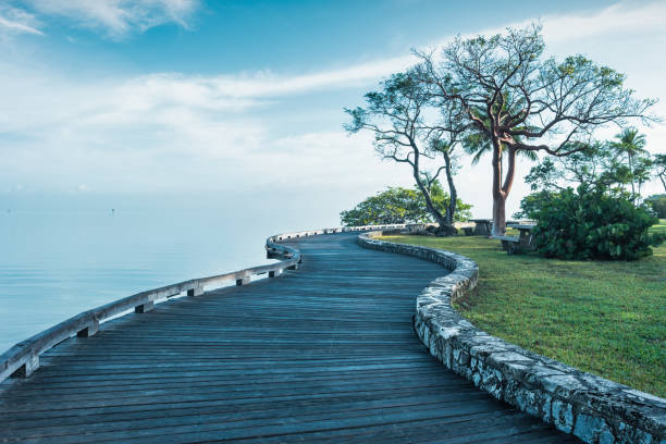 International Education